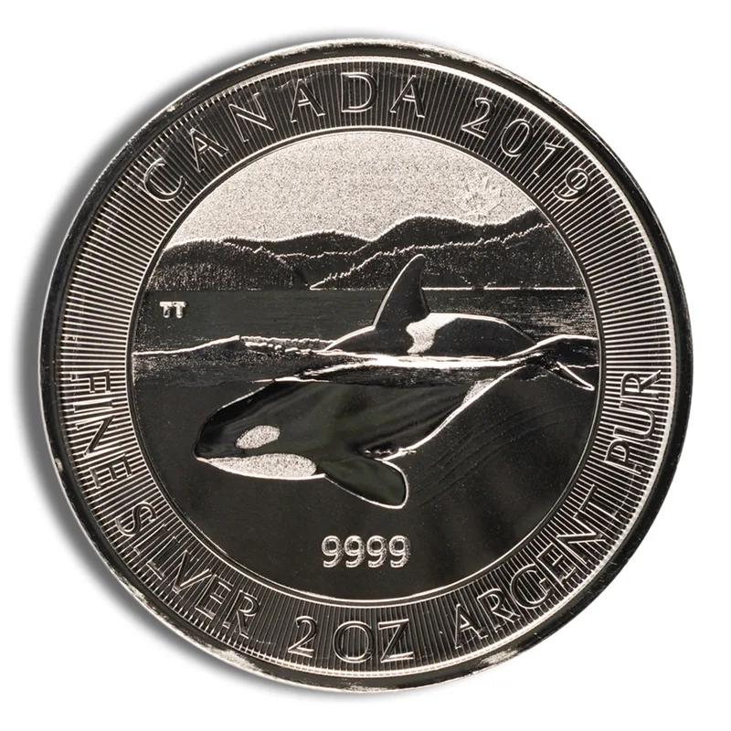 2019 2 oz Canadian Orca Whale Silver Coin — Silver bullion from Standard Bullion