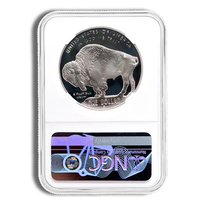 2001-P <body> Silver Buffalo Commem - NGC PF70 — reverse view