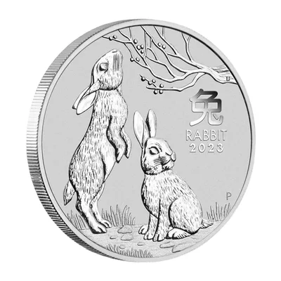 2023 1 oz Australia Silver Lunar Rabbit BU - Series III — packaging view