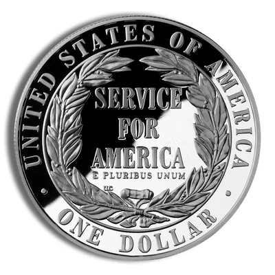 1996-S <body> Community Service Silver Commem - Proof — reverse view