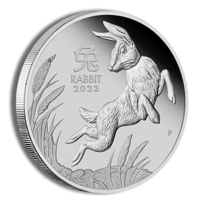 2023 1 oz Australia Platinum Lunar Rabbit BU - Series III — packaging view