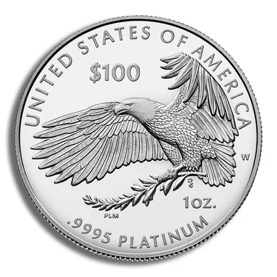 2018-W 1 oz Proof Platinum Eagle <body>00 (Cap Only) — reverse view
