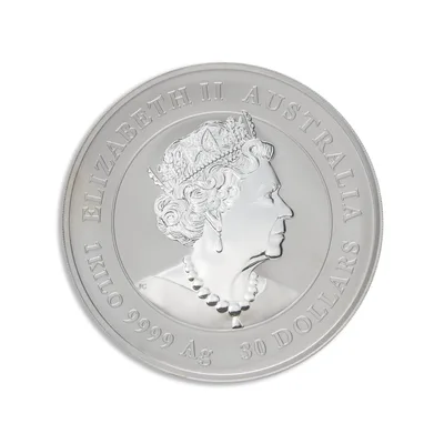 2023 Kilo Australia Silver Lunar Rabbit - Series III NGC MS70 — detail view