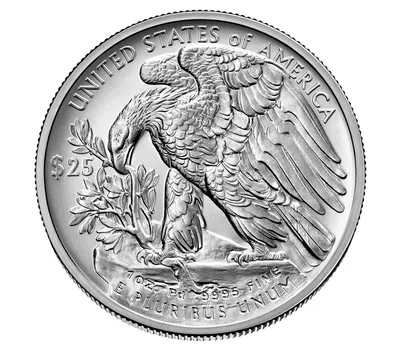 2023-W 1 oz Burnished Palladium Eagle (w/Box & COA) — reverse view