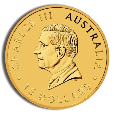1/10 oz Australian Kangaroo/Nugget Gold Coin (Year Varies) — packaging view