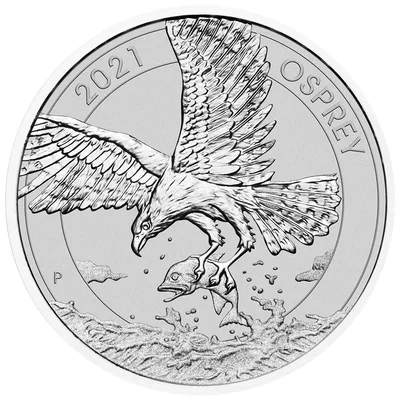 2021 1.5 oz Australian Osprey Eagle Silver Coin — reverse view