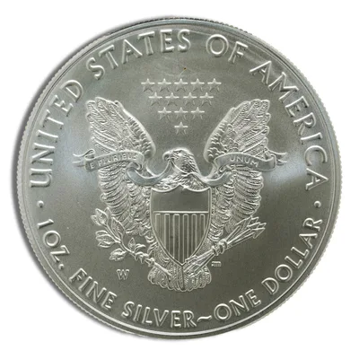 2014-W Burnished Silver Eagle with Box & COA — packaging view