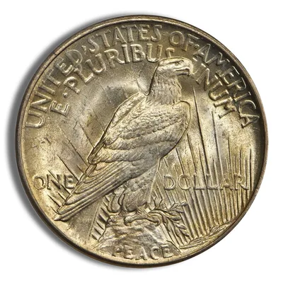 Peace Dollar - PCGS MS65 (Toned) — reverse view