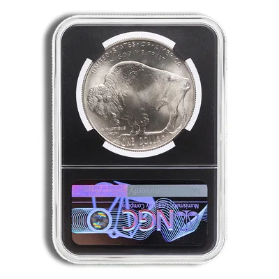 2001-D <body> Silver Buffalo Commem - NGC MS69 (Black Core) — reverse view
