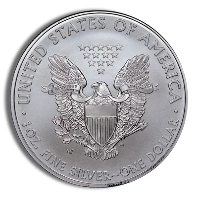 2015-W Burnished Silver Eagle with Box & COA — packaging view