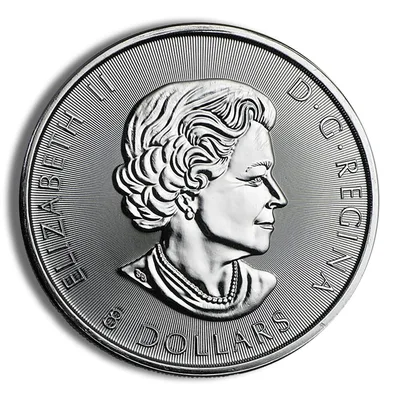 2016 1.5 oz Canadian Snow Falcon Silver Coin — reverse view