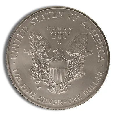 2007-W Burnished Silver Eagle with Box & COA — packaging view