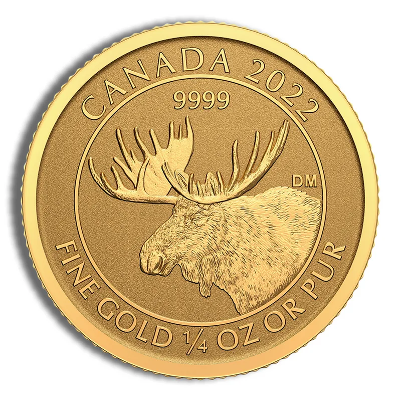 2022 1/4 oz Canadian Moose Gold Coin — Gold bullion from Standard Bullion