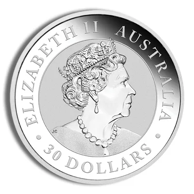 Australian Silver Kookaburra - Kilo - BU (Year Varies) — reverse view