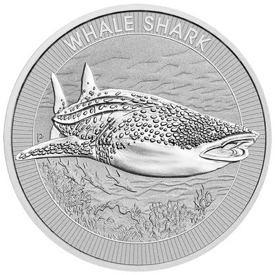 2023 1.5 oz Australian Whale Shark Silver Coin — reverse view
