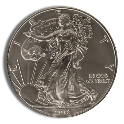 2018-W Burnished Silver Eagle with Box & COA — reverse view