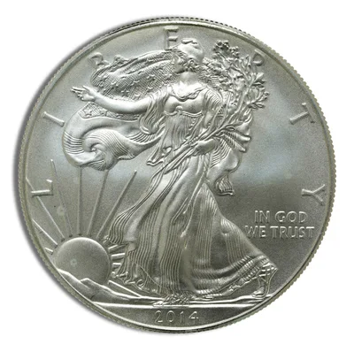 2014-W Burnished Silver Eagle with Box & COA — reverse view
