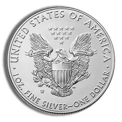 2020-W Burnished Silver Eagle with Box & COA — packaging view