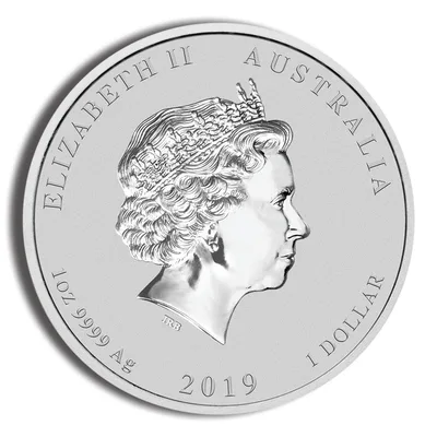 2019 1 oz Australia Silver Lunar Pig BU - Series II — reverse view