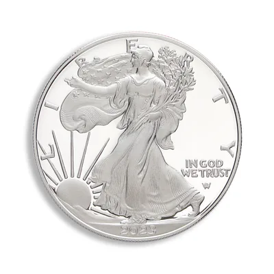 2023-W Proof Silver Eagle with Box & COA — reverse view