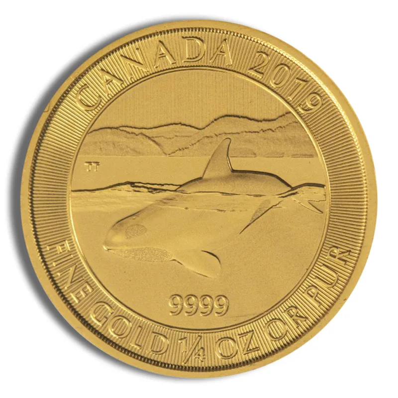 2019 1/4 oz Canadian Orca Whale Gold Coin — Gold bullion from Standard Bullion