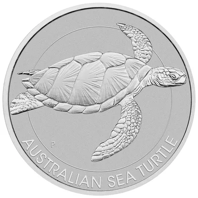2022 1.5 oz Australian Sea Turtle Silver Coin — reverse view