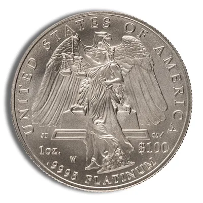 2008-W 1 oz Burnished Platinum Eagle <body>00 (Cap Only) — reverse view
