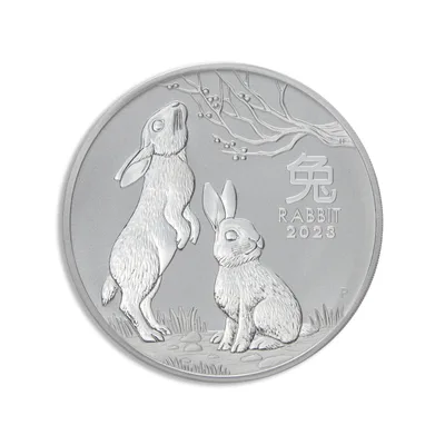 2023 Kilo Australia Silver Lunar Rabbit - Series III NGC MS70 — packaging view