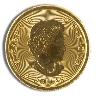 1/10 oz Canadian Polar Bear Gold Coin (Year Varies) — reverse view