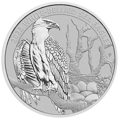 2022 1/2 oz Australian White-Bellied Sea Eagle Platinum Coin — reverse view
