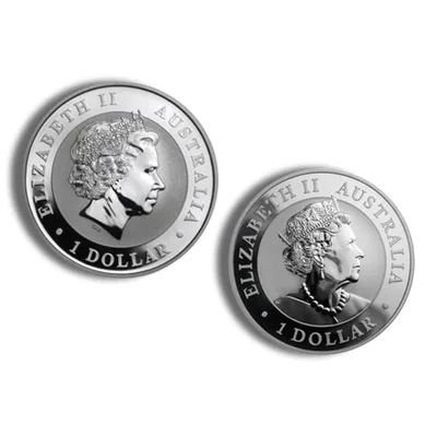 Australian Silver Koala - Kilo - BU (Year Varies) — reverse view