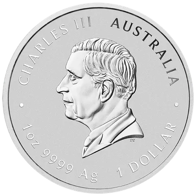 2025 1 oz Australia Silver Lunar Snake BU - Series III — reverse view