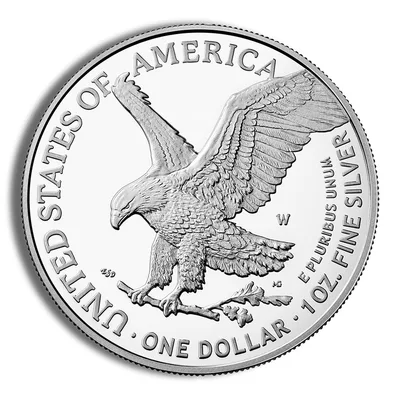 2021-W Proof Silver Eagle with Box & COA - Type 2 — packaging view