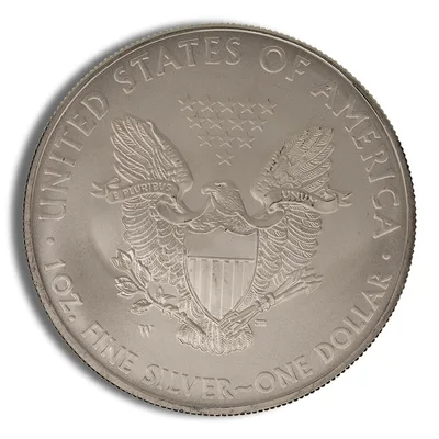 2008-W Burnished Silver Eagle with Box & COA — packaging view