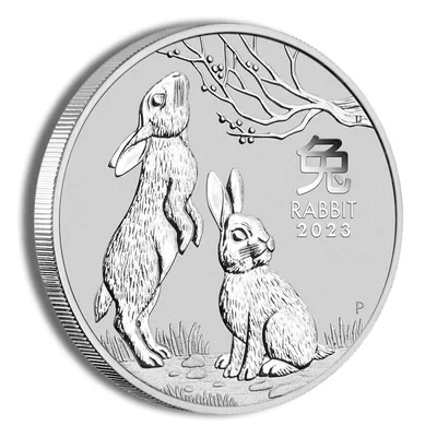 2023 2 oz Australia Silver Lunar Rabbit BU - Series III — packaging view