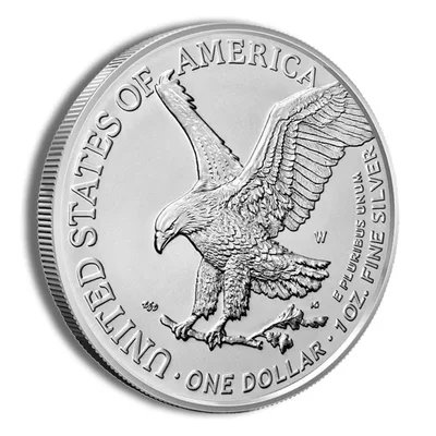 2023-W Burnished Silver Eagle with Box & COA — detail view