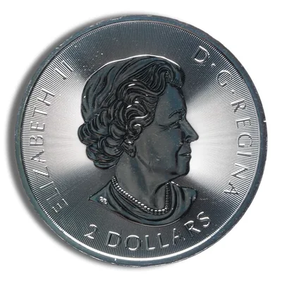 2018 1/2 oz Canadian Polar Bear Silver Coin — reverse view