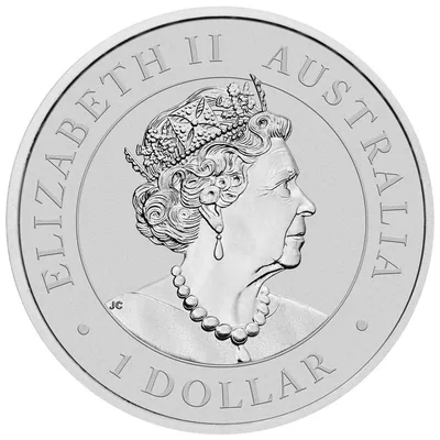 1 oz Australian Kookaburra Silver Coin - In Capsule (Year Varies) — reverse view