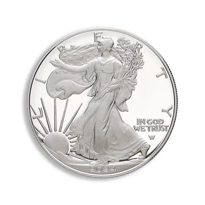 2024-W Proof Silver Eagle with Box & COA — reverse view
